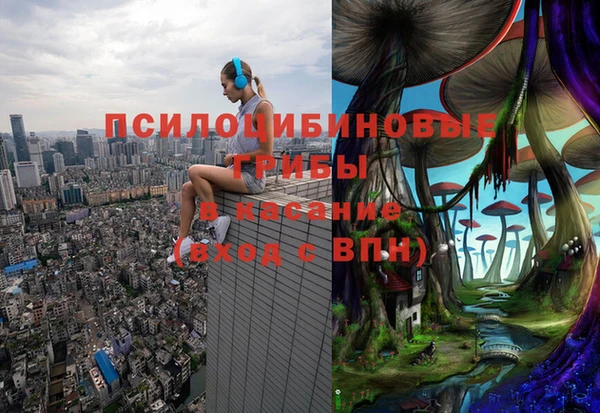 эйфоретик Беломорск