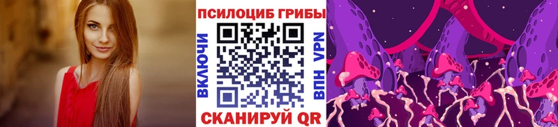 Галлюциногенные грибы Psilocybe Сланцы