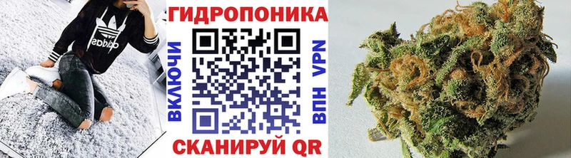 наркота  Сланцы  Марихуана план 